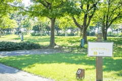 ファミリーサイト(エコノミー)〈100㎡〉