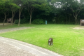 ファミリーサイト(ロイヤル)〈120㎡〉