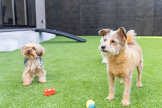 【素泊り】＜大人5～6名＞露天風呂＆サウナ。1日1組限定のプライベートヴィラ【DOG  RESORT 湖都－大津－】