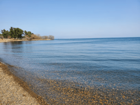 ■最大30％OFF■＜大人5～6名＞&rdquo;期間限定の新春プラン&rdquo;自由にお得に楽しむ！愛犬と琵琶湖リゾートステイ【素泊り】