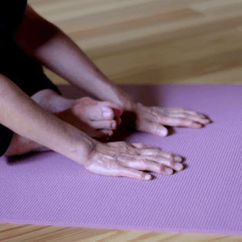 【3月末まで】からだ・発酵・工芸に触れる。五感で味わう森の体験付きプラン