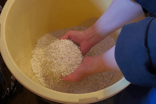 【3月末まで】からだ・発酵・工芸に触れる。五感で味わう森の体験付きプラン