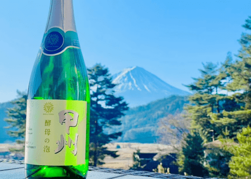 《期間限定1人3,000円OFF✨》お得に富士山を望む絶景グランピング満喫・特別プラン【選べるお食事】