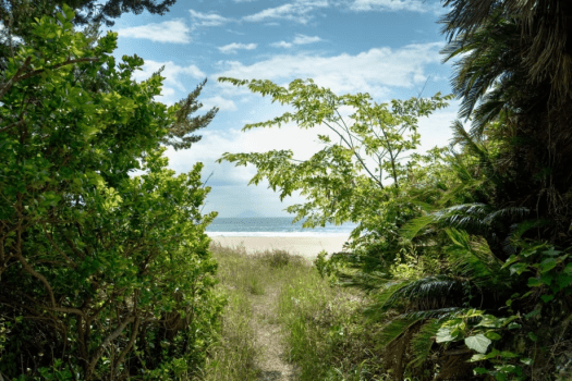 【素泊まり】待望のシーサイドトレーラーハウス！全国的にホワイトビーチで有名な入田浜の近くです。プライベートサウナ付きでサーファーもサウナーも大満喫♪Tiny Base初の愛犬と一緒に宿泊OK！