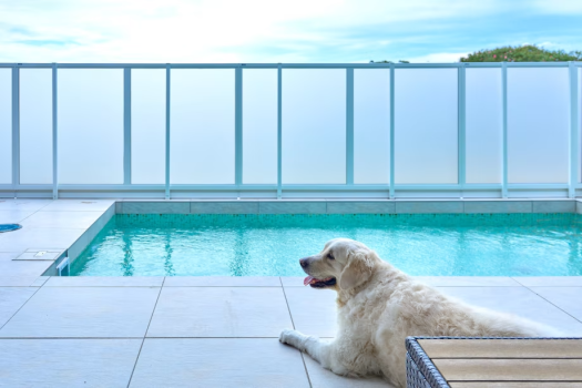 【Pet-friendly】 Ocean Front ~ With a dog-friendly pool ~