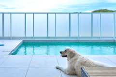 【愛犬可】■澪/渚■オーシャンフロント ～プライベートプール付～