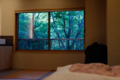 <本館>和モダンコンパクト|山側ビュー【2023年改装】 <本館>和モダンコンパクト|山側ビュー【2023年改装】