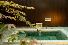 温泉ヴィラはなもみじ