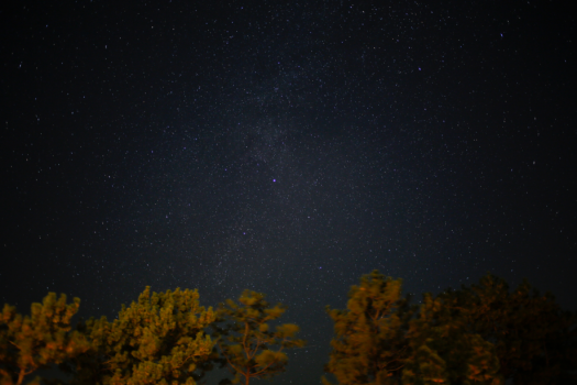 ふと見上げると澄んだ夜空に小さく光る星々が。