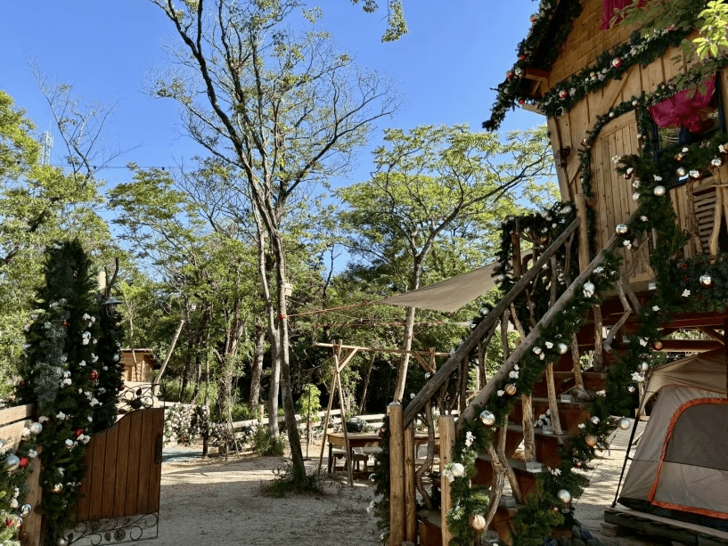 ツリーハウスでもBBQも可能