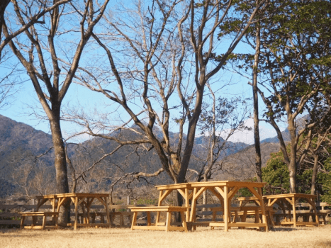 【オープンテラス席】10:00~12:30