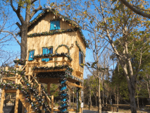 🎄ツリーハウス🎄（2～5名用）