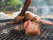 ツリーハウスで過ごす、日帰りグランピング体験『食材付手ぶらBBQプラン』