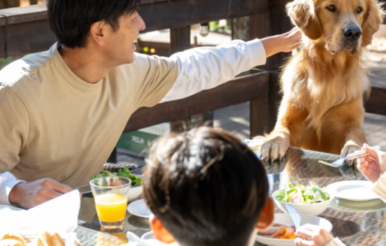 朝食イメージ 朝食イメージ