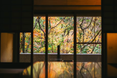 【母屋客室／和室10畳】広い窓越しに流れる風が揺れる草木が風情を感じさせます。