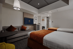 Deluxe River View Room