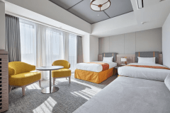 Premium River View Room