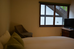 Economy Queen Bed Room 202 Economy Queen Bed Room 202