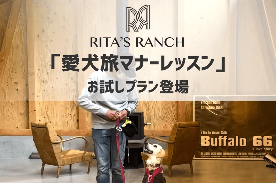 『はじめての愛犬旅マナーレッスン』お試しプラン
