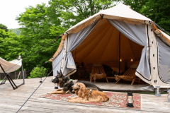 【貸切】チャーター　グランピング