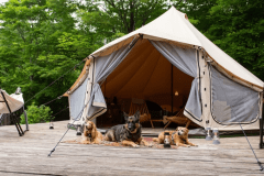 【最大5名】1組で2部屋利用 オーセンティック5M＆ロータスベル4M