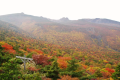 【紅葉🍁安達太良山登山プラン】　ロープウェイチケット往復券＋スーパー陶盤浴付き