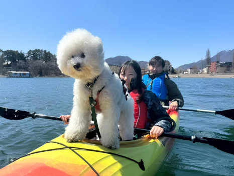 《愛犬と体験アクティビティプラン》カヤックで湖と富士山を満喫！｜富士山麓の湧水・里の恵みを五感で楽しむ至福のディナーコース＜1泊2食付き＞