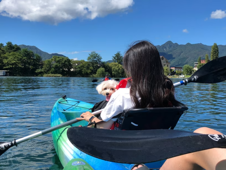《愛犬と体験アクティビティプラン》カヤックで湖と富士山を満喫！｜富士山麓の湧水・里の恵みを五感で楽しむ至福のディナーコース＜1泊2食付き＞