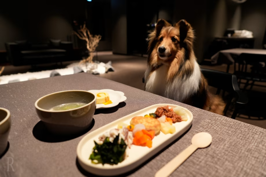 【1日1組限定】選ばれしゲストだけが味わえる“森からの贈り物”～贅沢な晩餐に添える、唯一無二のジビエ料理付き至福のディナーコース＜1泊2食付き＞