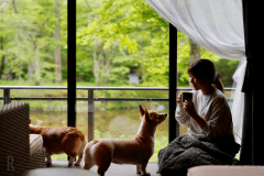 ◇◆早割60・90◆◇《早期ご予約特典》最大15％OFFの優待ステイ～富士山麓の湧水・里の恵みを五感で楽しむ至福のディナーコース＜1泊2食付き＞