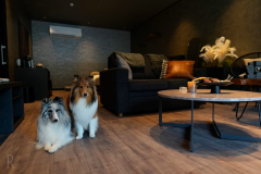 愛犬とひとり旅♪【山梨美食の饗宴プラン】富士山麓の湧水・里の恵みを五感で楽しむ至福のディナーコース<1泊2食> 愛犬とひとり旅♪【山梨美食の饗宴プラン】富士山麓の湧水・里の恵みを五感で楽しむ至福のディナーコース<1泊2食>