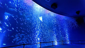 名古屋港水族館★海の仲間に会いに行こう