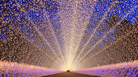 当館から徒歩圏内！車をおいてゆっくりイルミを楽しもう☆