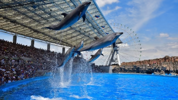 名古屋港水族館のパートナーシップホテルである当館！観光の拠点に最適です！