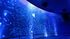 名古屋港水族館のパートナーシップホテルである当館！観光の拠点に最適です！