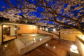 露天風呂「森と桜の湯」 露天風呂「森と桜の湯」