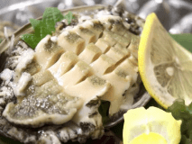 海鮮満喫プランにてご提供しているアワビ