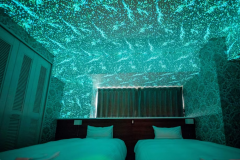 【コンセプトルーム】寝室