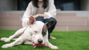 【公式限定・開業記念】☆期間限定☆特別プレミアムプラン～公式サイトだけの開業特別価格でご提供～