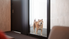 【公式サイト限定特典】DOG SPA・STAY満喫プラン ～オプションプランを予約でお得に宿泊☆愛犬に至福のひと時をプレゼント＜素泊まり＞