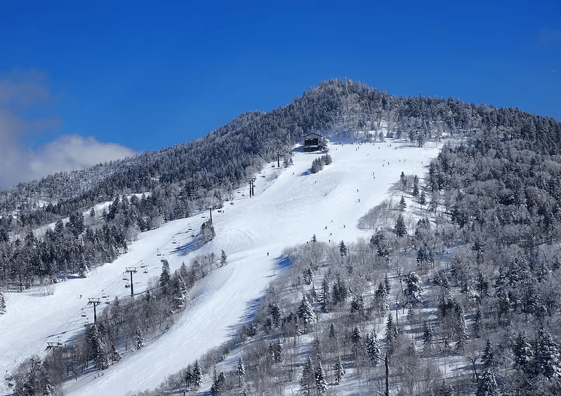 志賀高原スキー場
全18スキー場共通リフト券付！