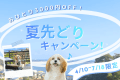 【夏先どりキャンペーン】期間限定｜ひとり3,000円OFF！～海辺の避暑地でのんびり愛犬旅～＜素泊まり＞