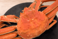 【1室3匹OK｜ペット可】【夕食付｜大感謝祭！期間限定】贅沢カニ食べ放題90分｜全19品（ささみボウル付）