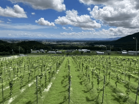 【熟成肉 &times; 四日市初ワイナリー 圃場見学付き　地産地消料理とワインの会】