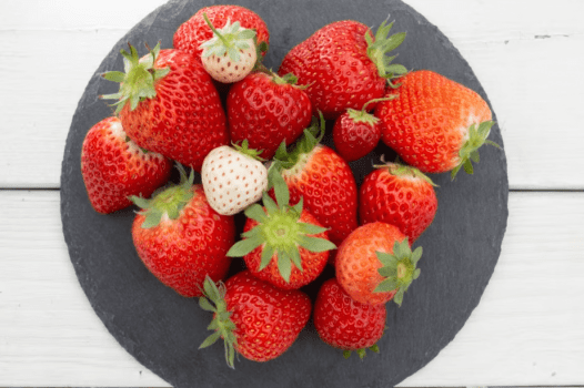 【イタリアン／アル・ケッチァーノ】自ら収穫した食材を最高の一皿へ導く、苺の美食旅｜2月～3月