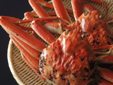 【伝統活がに料理：竹】＜特上＞『蟹料理のルーツを味わう／京都間人の伝統活がに料理（茹で蟹付き）』（※間人蟹ではございません）