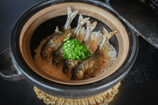 【日帰りランチ】カウンター割烹 露庵温味｜初夏の鱧と鮎のコース｜5月15日～7月15日