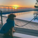 Standard SPACE-Z3【25㎡※テラス含む・定員2名・ドッグOK】