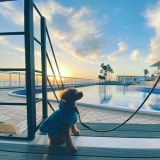 Standard SPACE-Z2＆Z3＆Z4【3棟貸切利用・定員3～6名・ドッグOK】