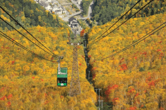 黒岳ロープウェイ（紅葉）